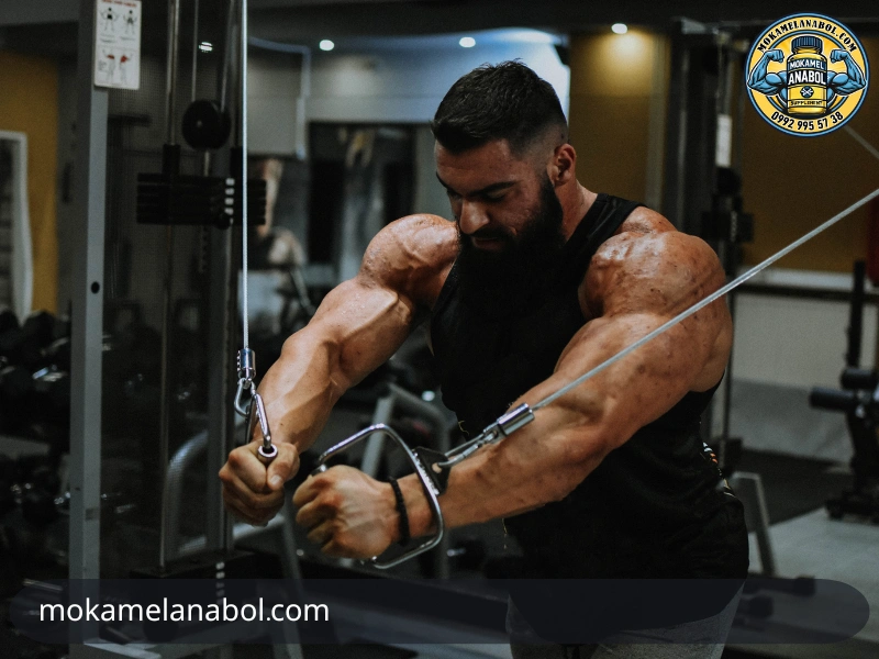تشخیص وینسترول اصل از تقلبی