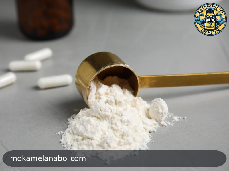 بهترین مکمل برای عضله سازی