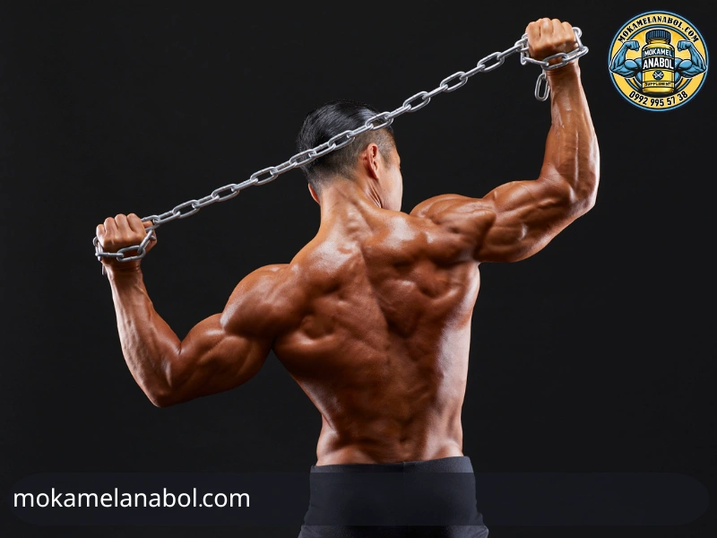 استروئید در بدنسازی