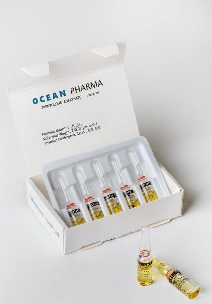 پریموبولان اوشن